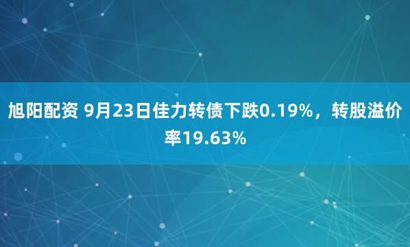 旭阳配资 9月23日佳力转债下跌0.19%，转股溢价率19.63%