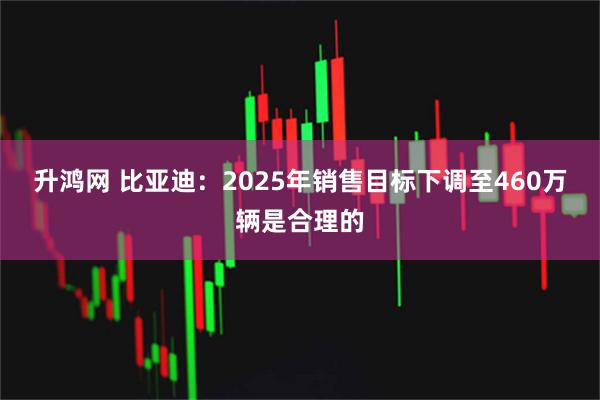 升鸿网 比亚迪：2025年销售目标下调至460万辆是合理的