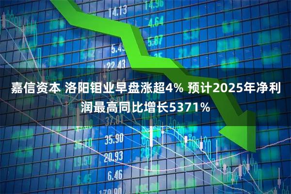 嘉信资本 洛阳钼业早盘涨超4% 预计2025年净利润最高同比增长5371%